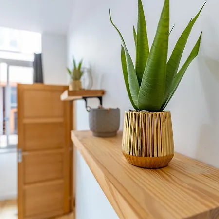 Le Beau Malcousinat Place Nationale Wifi Debit