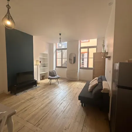 Appartement Le Beau Malcousinat Proche Place Nationale Montauban