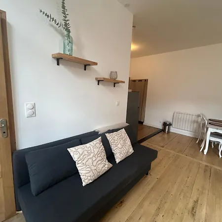Le Beau Malcousinat Proche Place Nationale Appartement